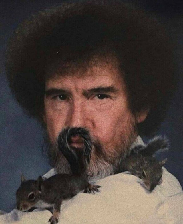 What Is Going On Here? (24 pics)