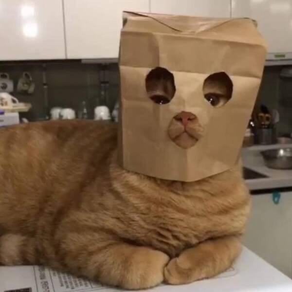 Kind Posts And Photos For Good Mood (29 pics)