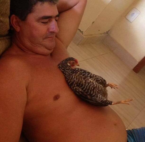 What Is Going On Here? (24 pics)