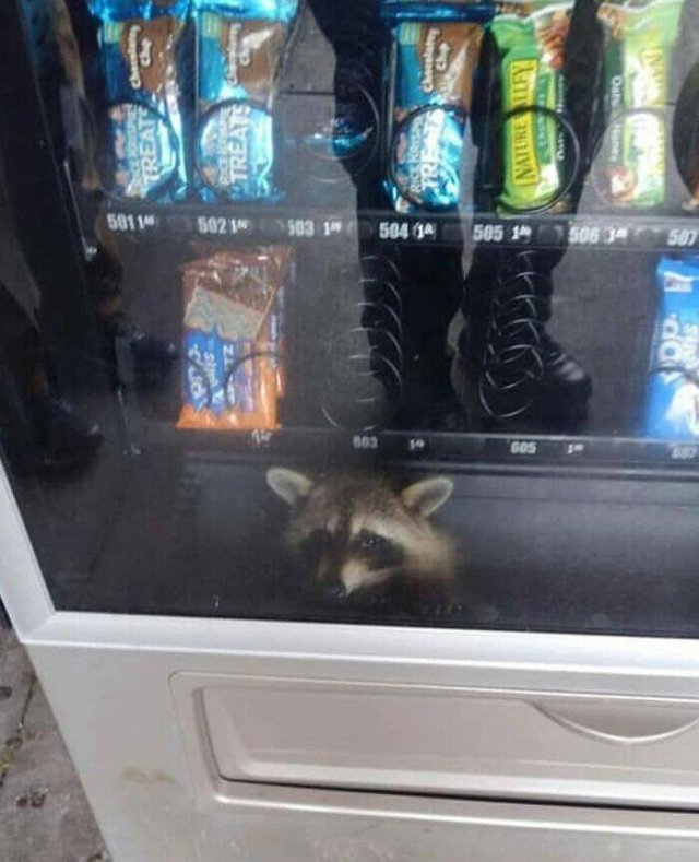 What Is Going On Here? (24 pics)