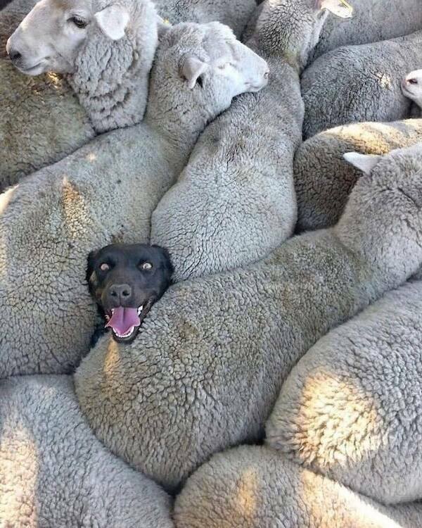 Kind Posts And Photos For Good Mood (29 pics)