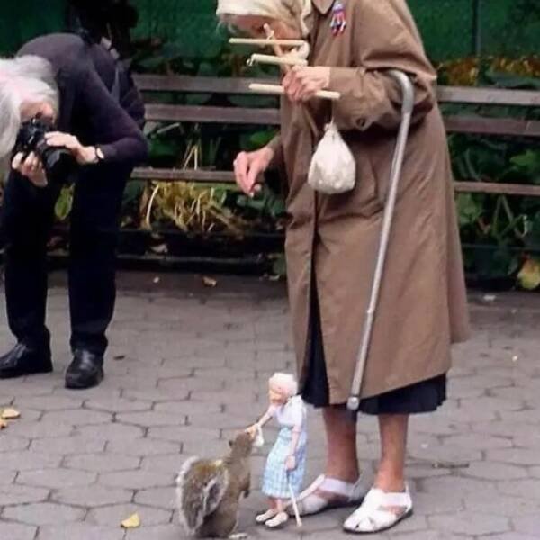 What Is Going On Here? (24 pics)