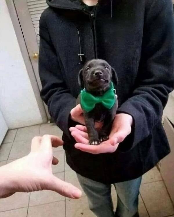 Kind Posts And Photos For Good Mood (29 pics)