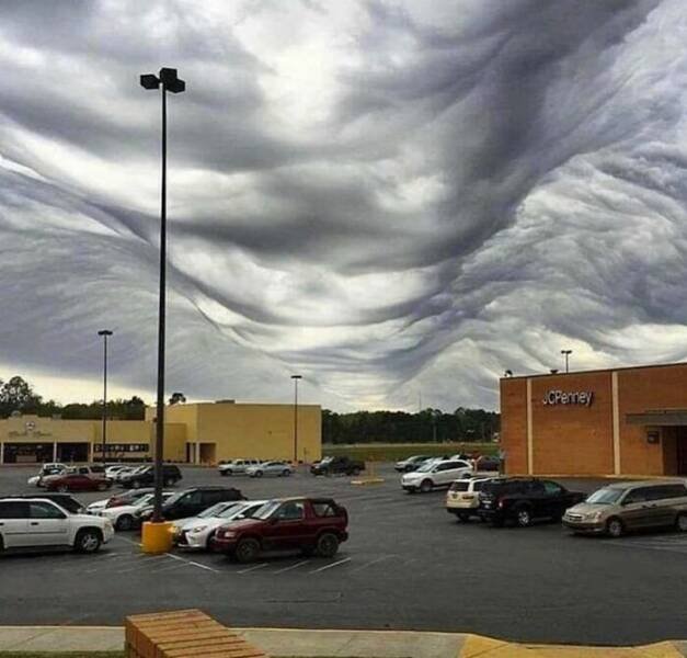 What Is Going On Here? (24 pics)