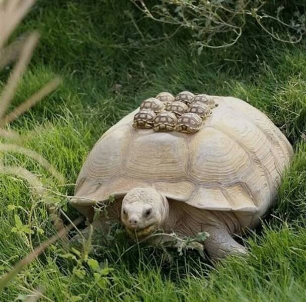 What Is Going On Here? (24 pics)