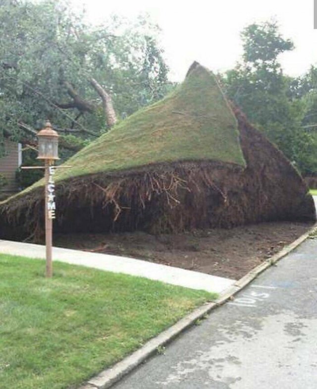 What Is Going On Here? (24 pics)