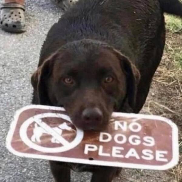 Kind Posts And Photos For Good Mood (29 pics)