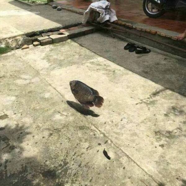 What Is Going On Here? (24 pics)