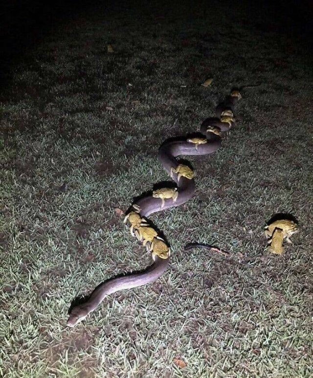 What Is Going On Here? (24 pics)