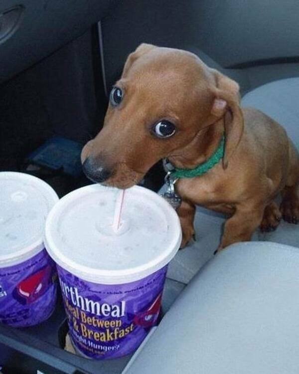 Kind Posts And Photos For Good Mood (29 pics)
