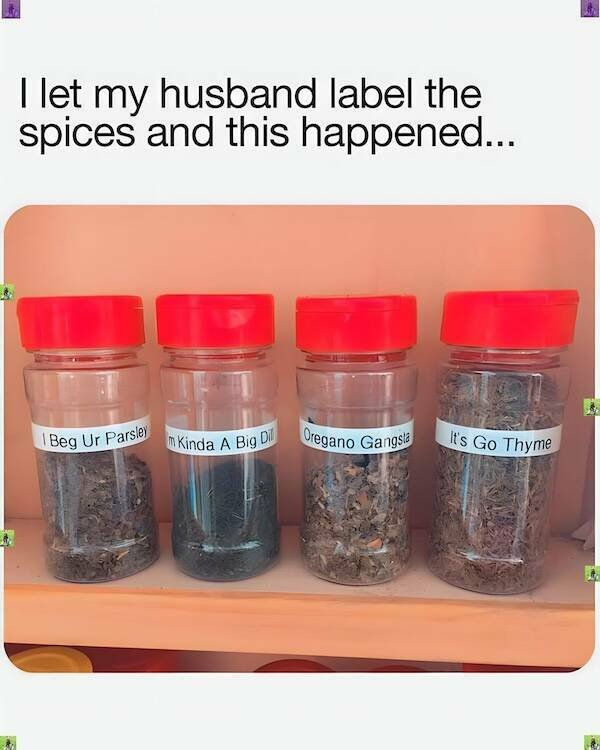 Dads Jokes (23 pics)