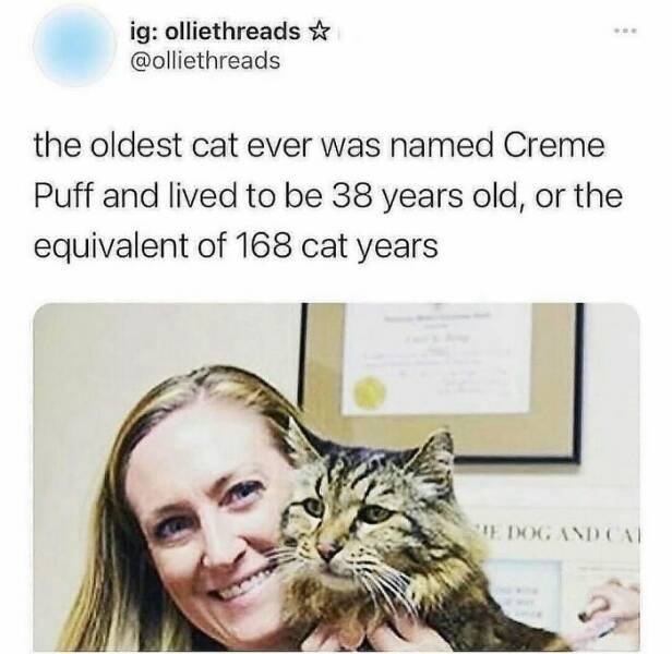 Interesting Finds And Discoveries (23 pics)