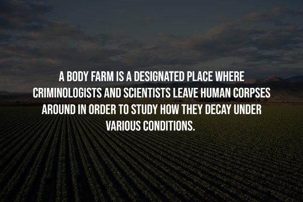 Creepy Facts (14 pics)
