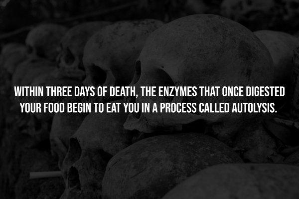 Creepy Facts (14 pics)