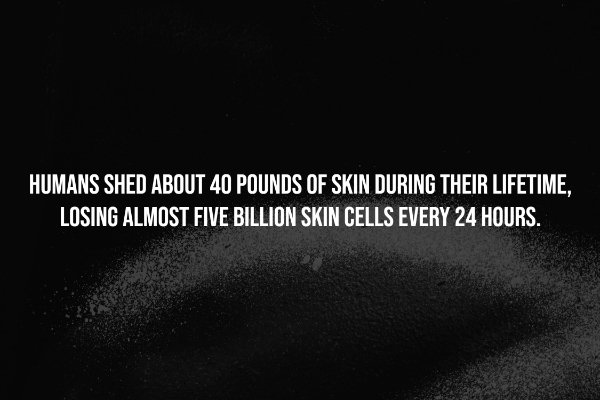 Creepy Facts (14 pics)