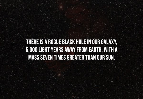 Creepy Facts (14 pics)