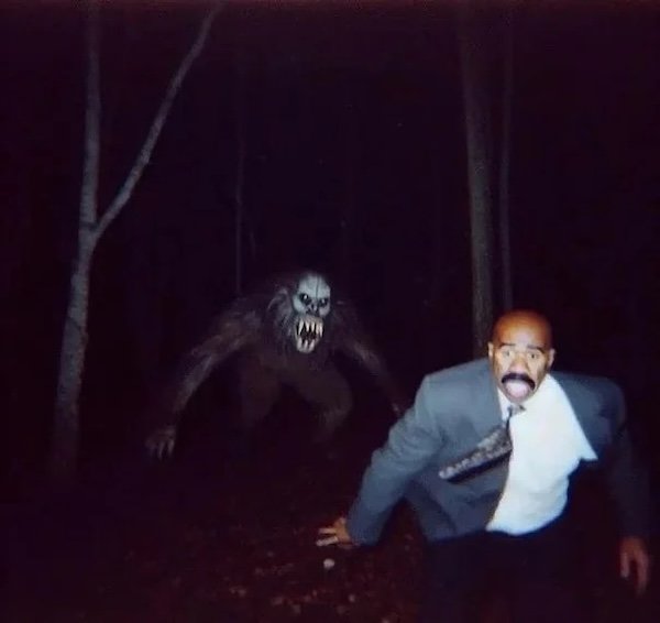 Strange And Funny Photos From The Forest (29 pics)