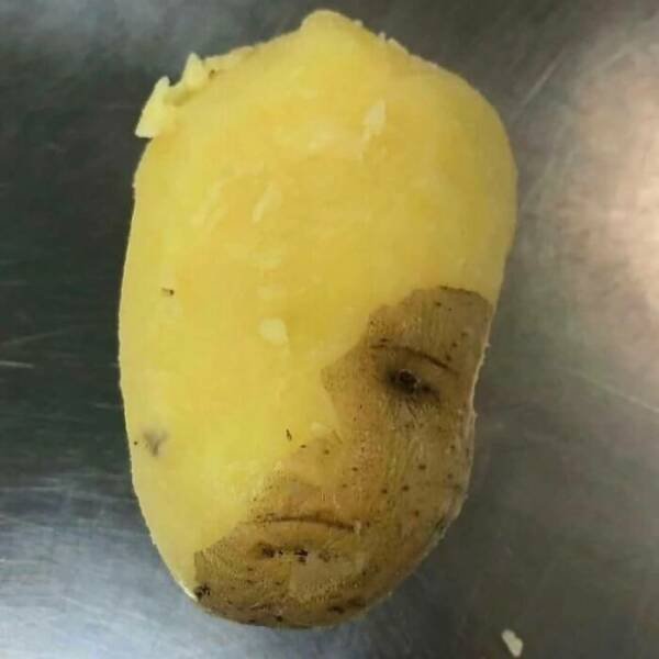What Is Going On Here? (50 pics)