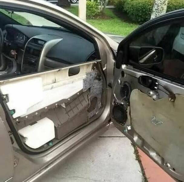 What Is Going On Here? (50 pics)
