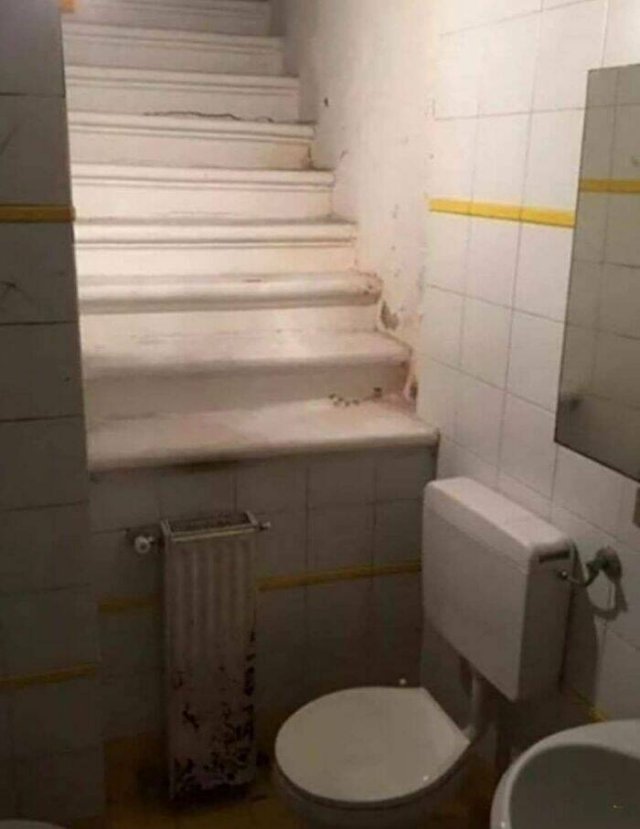 What Is Going On Here? (50 pics)