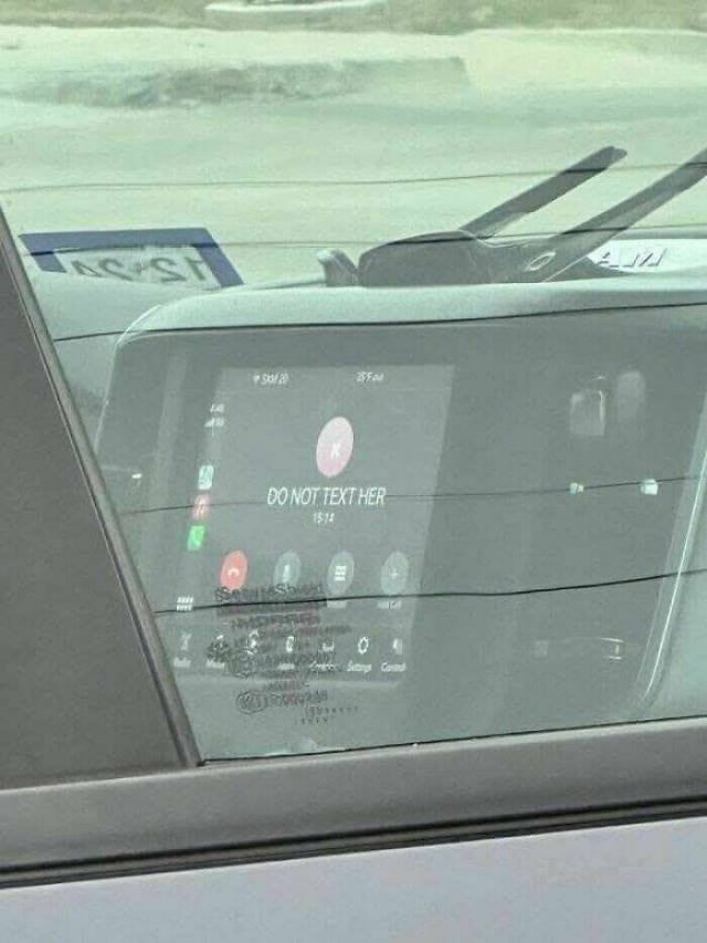 What Is Going On Here? (50 pics)