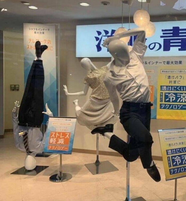 What Is Going On Here? (50 pics)