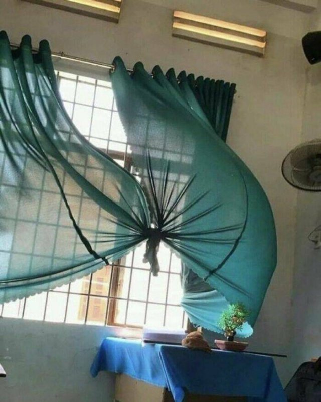 What Is Going On Here? (50 pics)