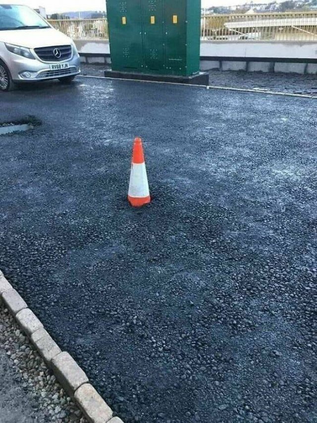 What Is Going On Here? (50 pics)