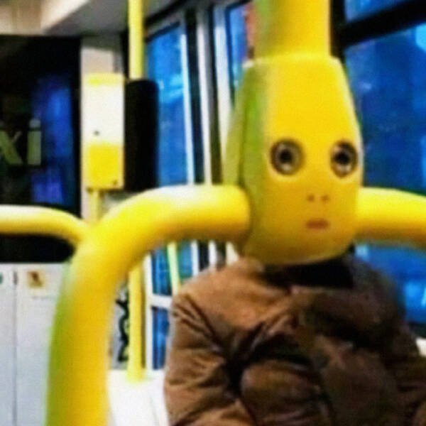 What Is Going On Here? (50 pics)