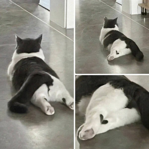 What Is Going On Here? (50 pics)