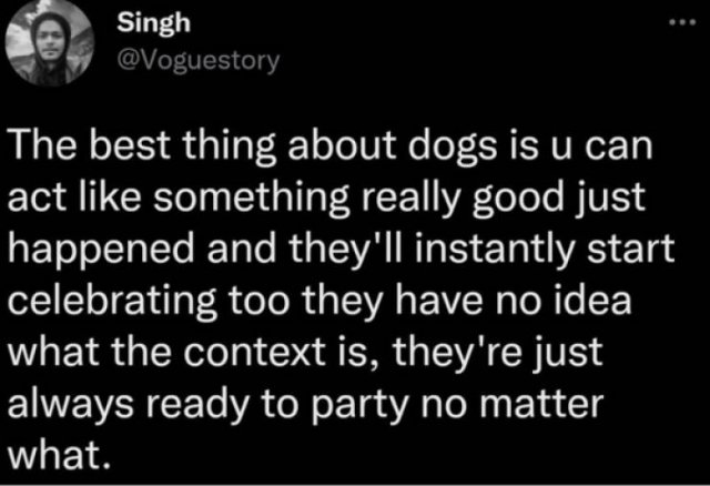 Posts And Jokes For Good Mood (25 pics)