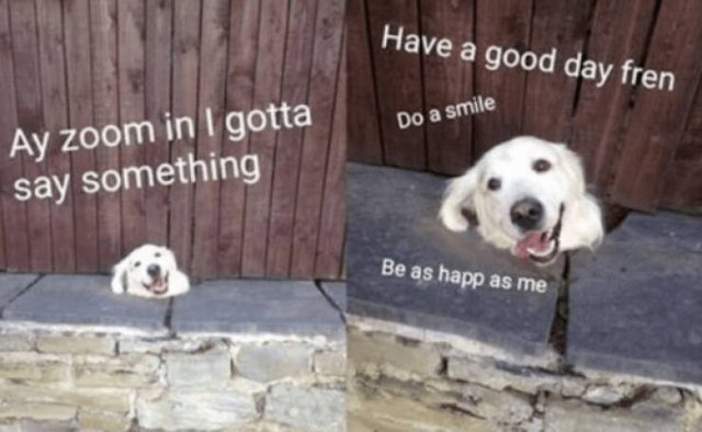 Posts And Jokes For Good Mood (25 pics)