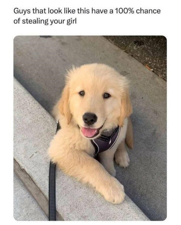 Posts And Jokes For Good Mood (25 pics)