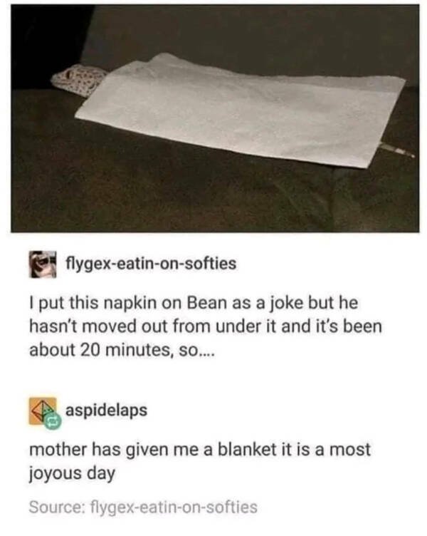 Posts And Jokes For Good Mood (25 pics)