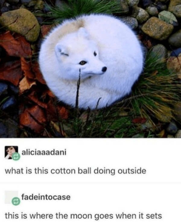 Posts And Jokes For Good Mood (25 pics)