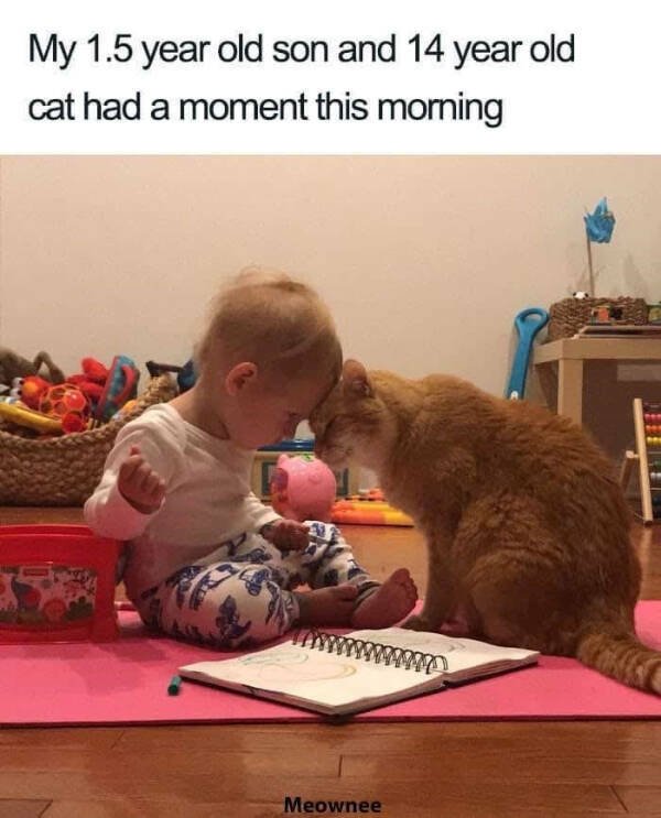 Posts And Jokes For Good Mood (25 pics)