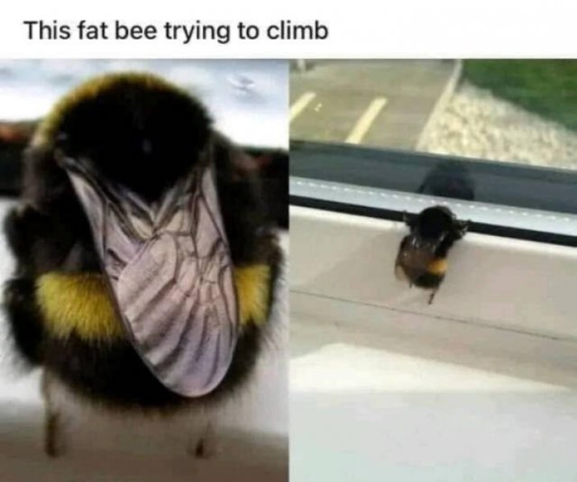 Posts And Jokes For Good Mood (25 pics)