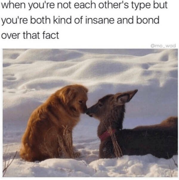 Posts And Jokes For Good Mood (25 pics)