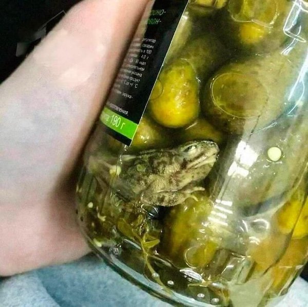 "Criminal" Cooking (36 pics)