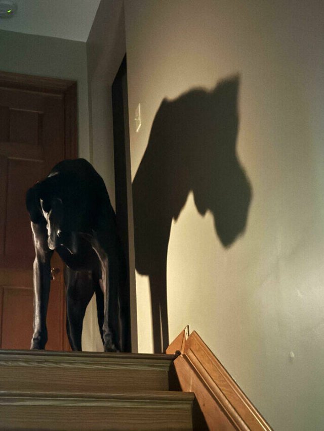 Creepy Moments (24 pics)