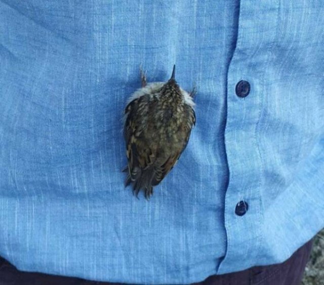 Unusual Photos From Around The World (19 pics)