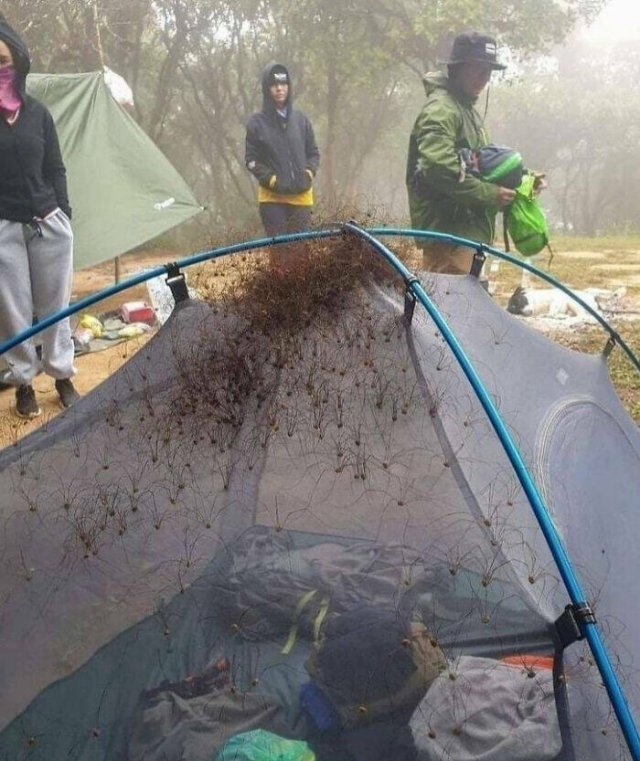 Creepy Moments (24 pics)
