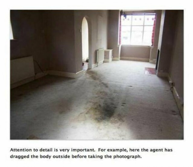 Strange Real Estate (24 pics)