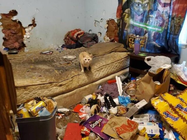 Strange Real Estate (24 pics)