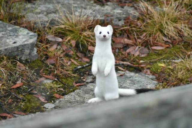 Unusual Photos From Around The World (19 pics)