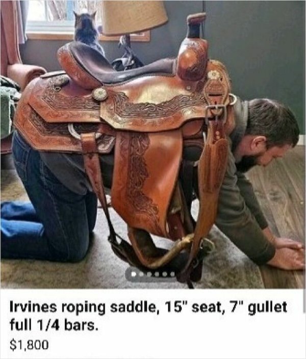 Ridiculous Products On The Internet (30 pics)