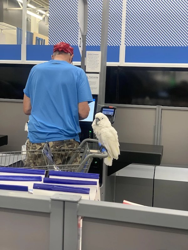 Odd People In Stores (24 pics)