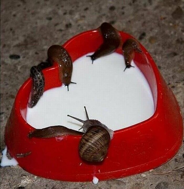 What Is Going On Here? (24 pics)