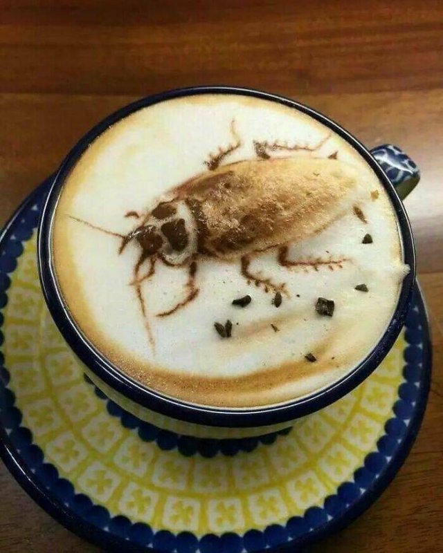 What Is Going On Here? (24 pics)
