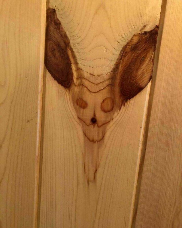 What Is Going On Here? (24 pics)